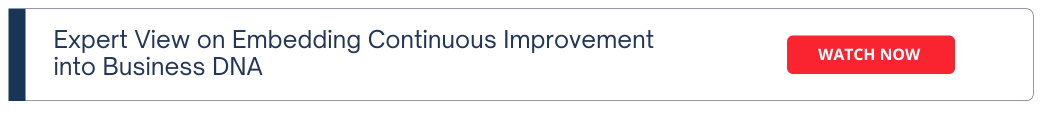 Expert View on Embedding Continuous Improvement into Business DNA