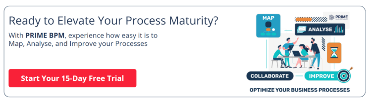 Ready To Elevate Your Process Maturity